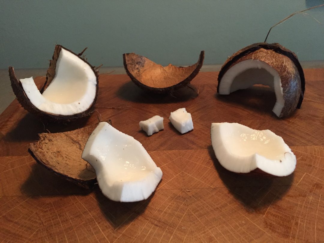 Hoe maak je een kokosnoot open? Het openen van een kokosnoot is nog niet zo eenvoudig. Met deze handleiding en stappenplan gaat het je zeker lukken!