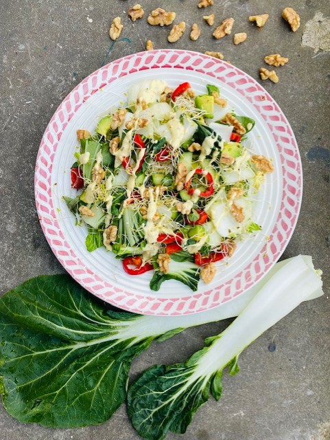 Wist je dat paksoi ook heerlijk is om rauw te eten? In deze salade van paksoi bijvoorbeeld. Een frisse salade met paksoi, komkommer, avocado, zoete puntpaprika, walnoten en alfalfa.